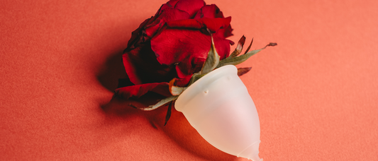 Shordy Menstrual Cups: Comfort, Safety and Value Backed by Real Experiences